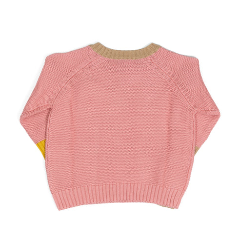 Maglione il Gufo bicolor