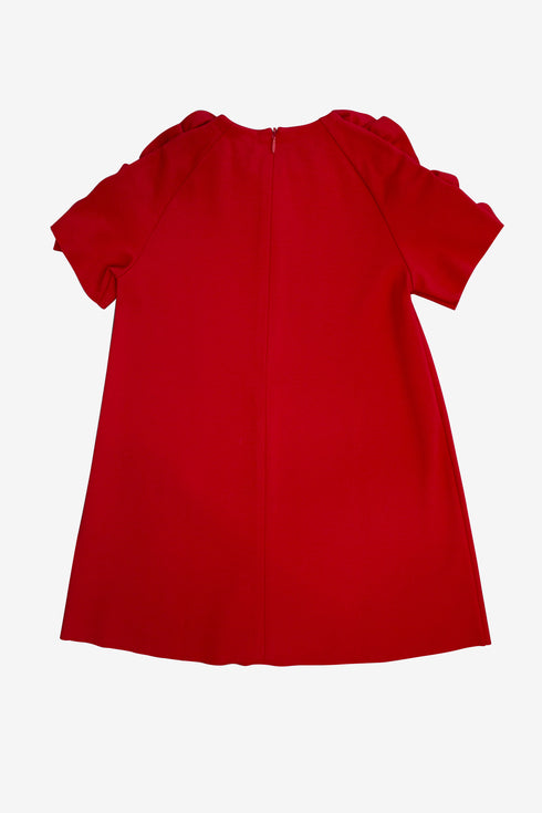 Vestito il Gufo