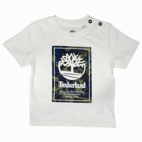 Completo Timberland
