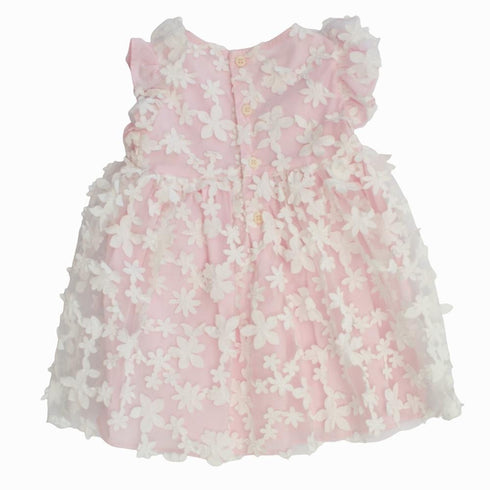 Vestito il Gufo