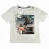 Completo Timberland