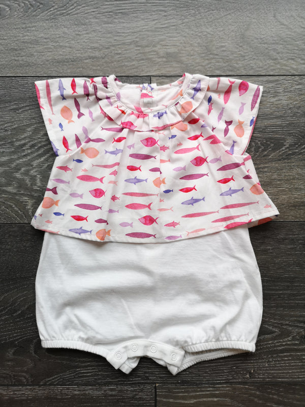 Pagliaccetto Il Gufo