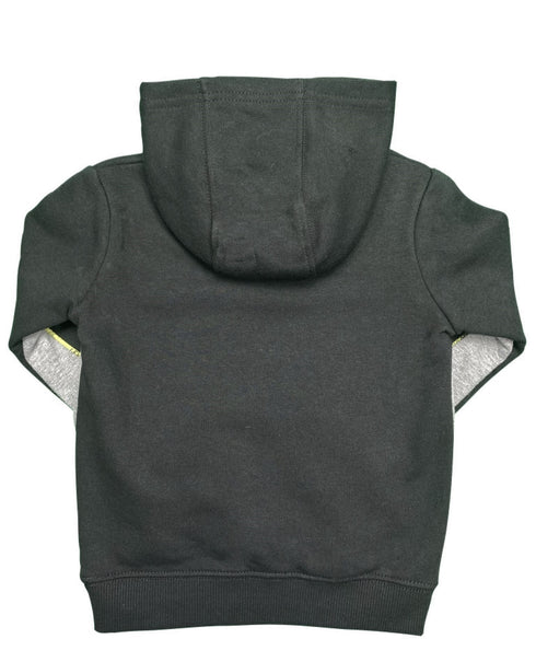Tuta Levis