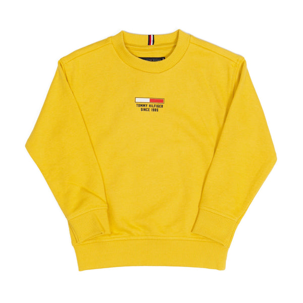 Felpa Tommy Hilfiger